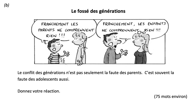 Le-fossé-des-générations--Le-conflit-des-générations-n’est-pas-seulement-la-faute-des-parents-Leaving Cert French-Question b-2017.png