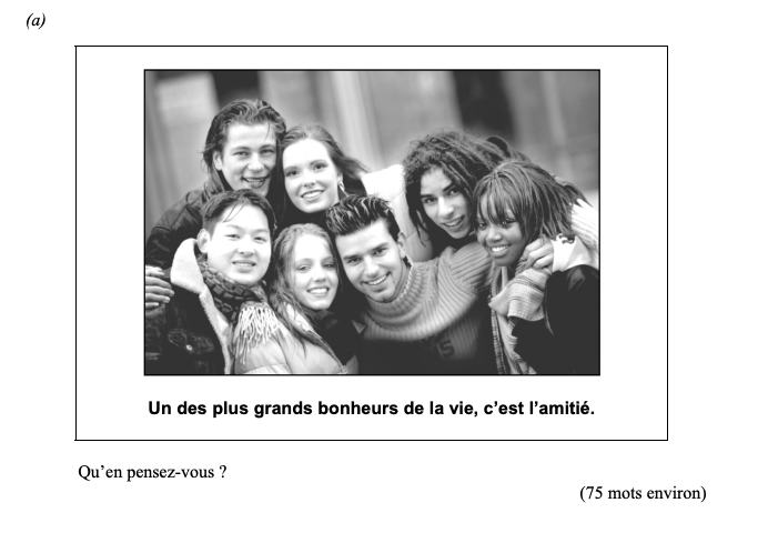 Un-des-plus-grands-bonheurs-de-la-vie,-c'est-l'amitié-Leaving Cert French-Question 1(a)-2013.png