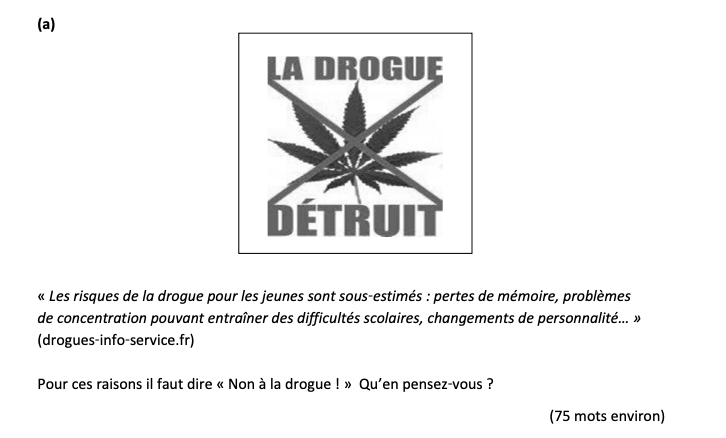 «-Les-risques-de-la-drogue-pour-les-jeunes-sont-sous-estimés-:-pertes-de-mémoire,-problèmes-de-concentration-pouvant-entraîner-des-difficultés-scolaires,-changements-de-personnalité..-Leaving Cert French-Question 1.-2019.png