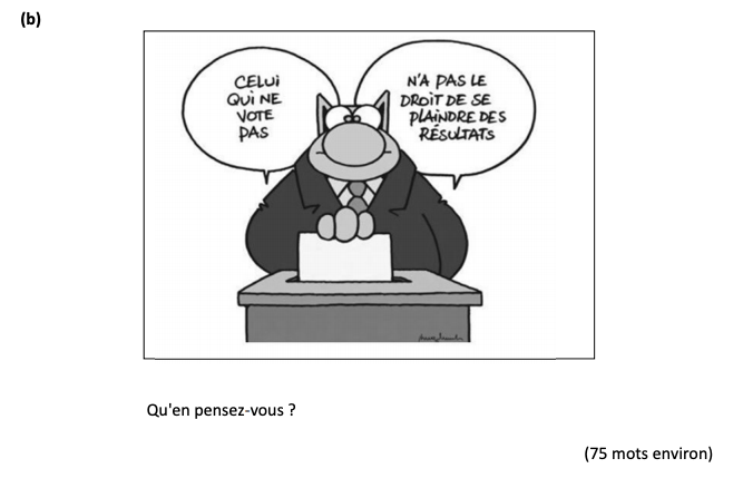 CELUI-QUI-NE-VOTE-PAS-N'A-PAS-LE-DROIT-DE-SE-PLAINDRE-DES-RÉSULTATS--Qu'en-pensez-vous-?-Leaving Cert French-Question b-2019.png