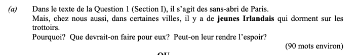 Dans-le-texte-de-la-Question-1-(Section-D),-il-s'agit-des-sans-abri-de-Paris-Leaving Cert French-Question 1(a)-2002.png