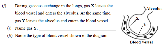 During-gaseous-exchange-in-the-lungs,-gas-X-leaves-the-blood-vessel-and-enters-the-alveolus-Junior Cycle Science-Question f-2015.png