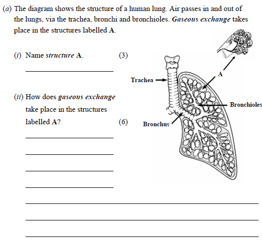 The-diagram-shows-the-structure-of-a-human-lung-Junior Cycle Science-Question a-2006.png