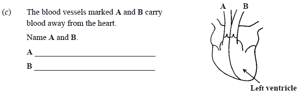 The-blood-vessels-marked-A-and-B-carry-blood-away-from-the-heart-Junior Cycle Science-Question c-2016.png