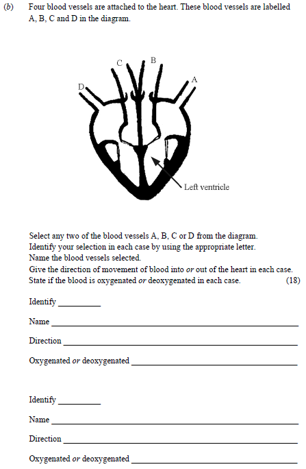 Four-blood-vessels-are-attached-to-the-heart-Junior Cycle Science-Question b-2013.png