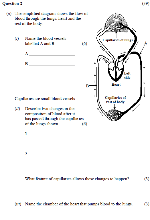 The-simplified-diagram-shows-the-flow-of-blood-through-the-lungs,-heart-and-the-rest-of-the-body-Junior Cycle Science-Question 2-2011.png