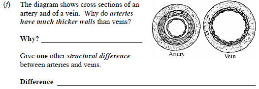 The-diagram-shows-cross-sections-of-an-artery-and-of-a-vein-Junior Cycle Science-Question 6-2008.png