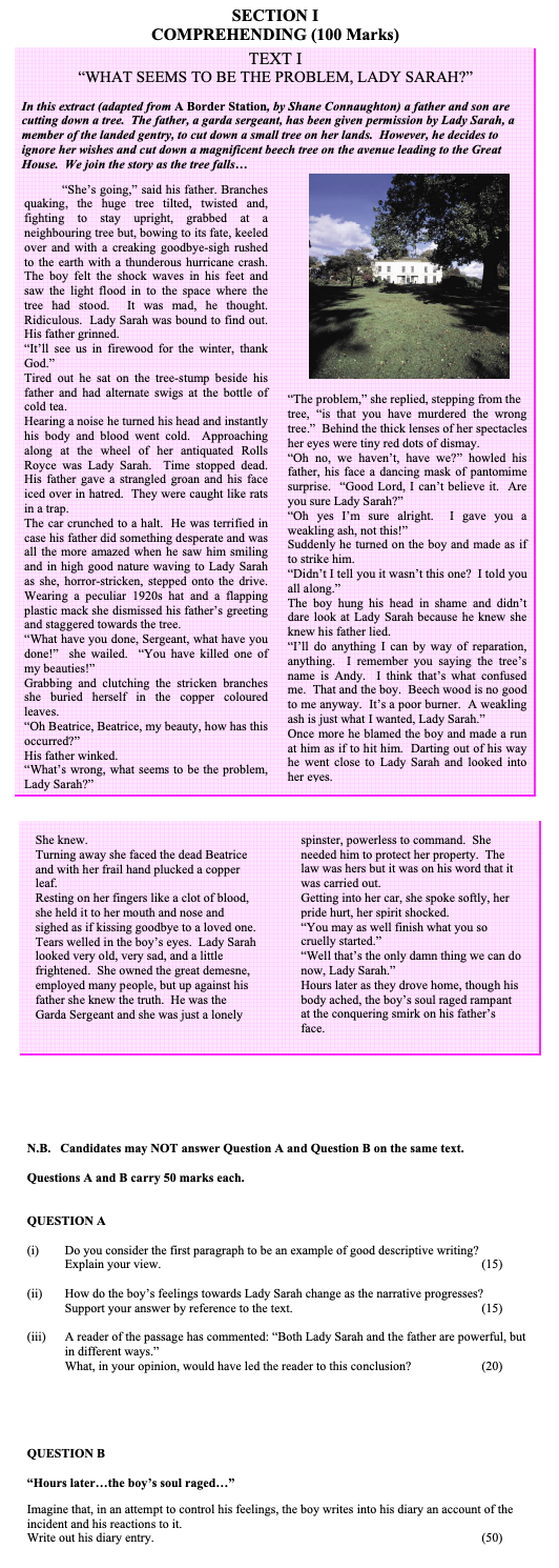 Do-you-consider-the-first-paragraph-to-be-an-example-of-good-descriptive-writing?-Explain-your-view-Leaving Cert English-Question QUESTION A-2006.png