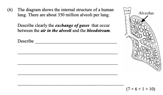 The-diagram-shows-the-internal-structure-of-a-human-lung-Junior Cycle Science-Question h-2010.png