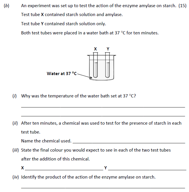 An-experiment-was-set-up-to-test-the-action-of-the-enzyme-amylase-on-starch-Junior Cycle Science-Question b-2017.png