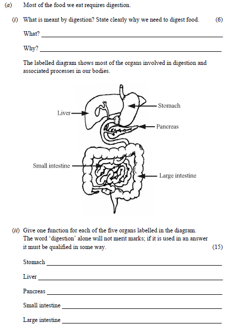 Most-of-the-food-we-eat-requires-digestion-Junior Cycle Science-Question a-2013.png