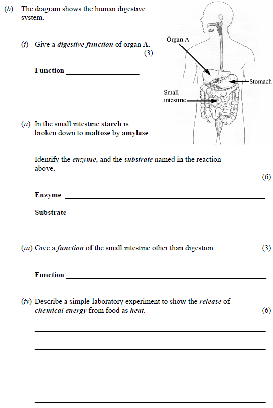 The-diagram-shows-the-human-digestive-system-Junior Cycle Science-Question b-2007.png