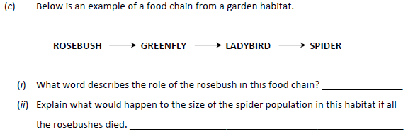 Below-is-an-example-of-a-food-chain-from-a-garden-habitat-Junior Cycle Science-Question c-2018.png