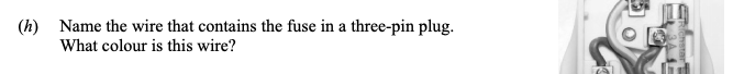 Name-the-wire-that-contains-the-fuse-in-a-three-pin-plug-Leaving Cert Physics-Question h-2015.png