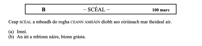 Ceap-SCÉAL-a-mheadh-do-rogha-CEANN-AMHÁIN-diobh-seo-oiriúnach-mar-theideal-air-Leaving Cert Irish-Question B-2010.png