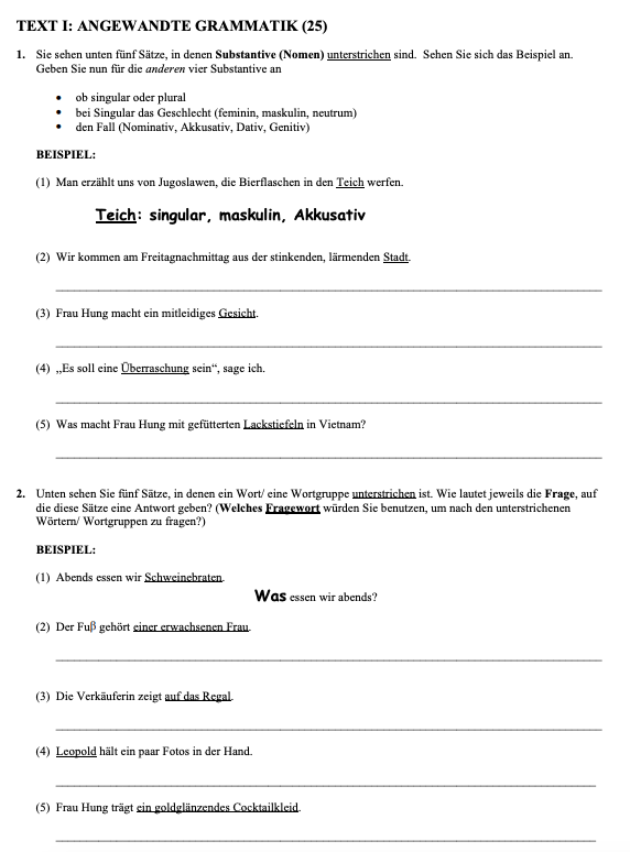 TEXT-I:-ANGEWANDTE-GRAMMATIK-(25)--1-Leaving Cert German-Question 1-2003.png