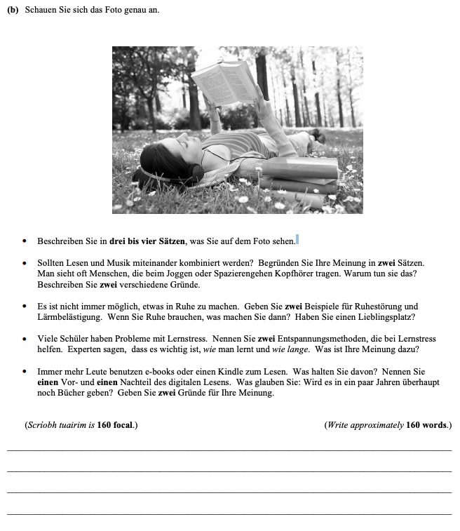 Schauen-Sie-sich-das-Foto-genau-an-Leaving Cert German-Question b-2014.png