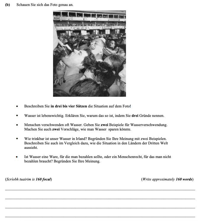 Schauen-Sie-sich-das-Foto-genau-an-Leaving Cert German-Question b-2008.png