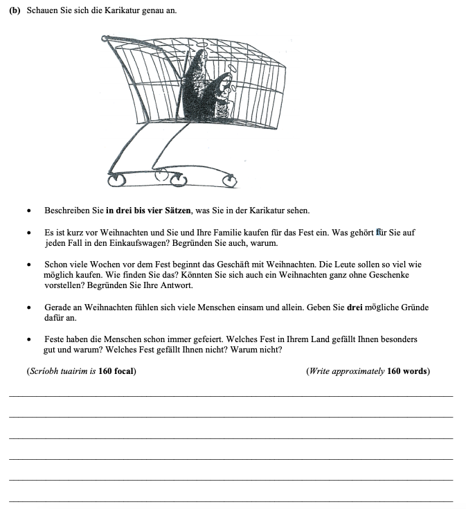 Schauen-Sie-sich-die-Karikatur-genau-an-Leaving Cert German-Question b-2005.png