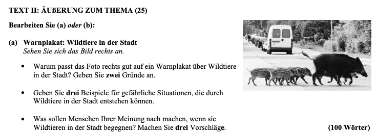 Warum-passt-das-Foto-rechts-gut-auf-ein-Warnplakat-über-Wildtiere-in-der-Stadt?-Geben-Sie-zwei-Gründe-an-Leaving Cert German-Question II(a)-2009.png
