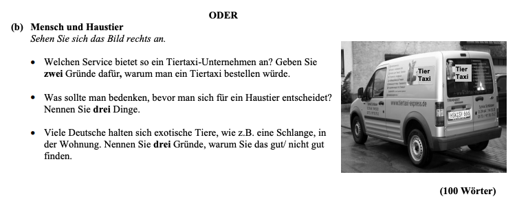 Mensch-und-Haustier-Sehen-Sie-sich-das-Bild-rechts-an-Leaving Cert German-Question (b)-2009.png