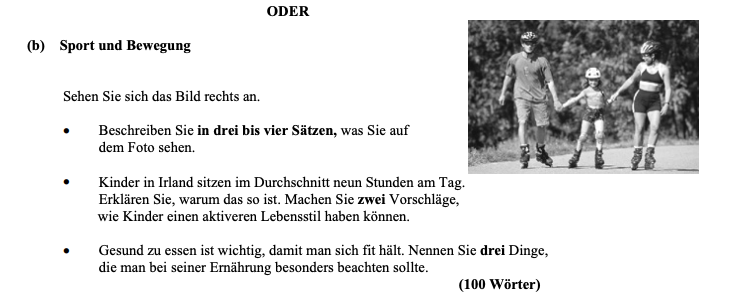 Sehen-Sie-sich-das-Bild-rechts-an-Leaving Cert German-Question b-2008.png