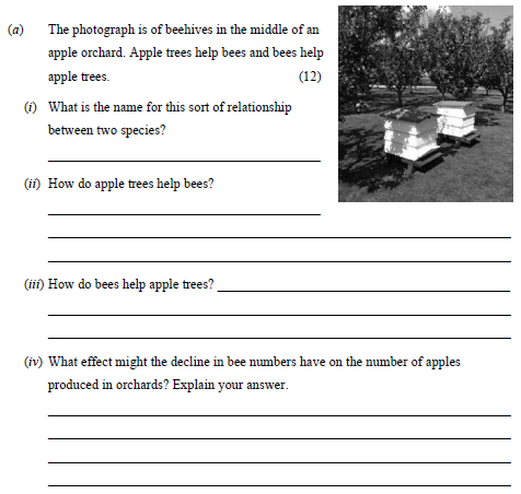 The-photograph-is-of-beehives-in-the-middle-of-an-apple-orchard-Junior Cycle Science-Question a-2015.png