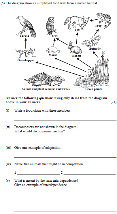 The-diagram-shows-a-simplified-food-web-from-a-mixed-habitat-Junior Cycle Science-Question b-2011.png