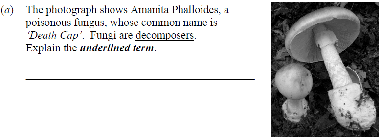 The-photograph-shows-Amanita-Phalloides,-a-poisonous-fungus,-whose-common-name-is-'Death-Cap'-Junior Cycle Science-Question Question 1(a)-2008.png