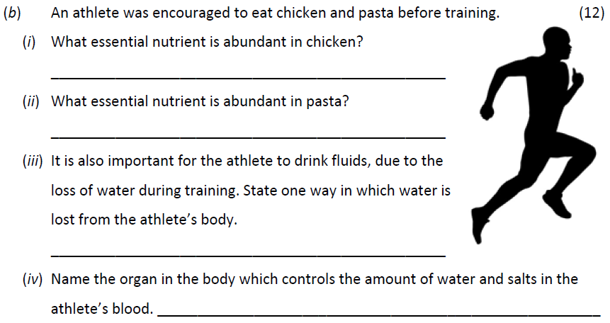 An-athlete-was-encouraged-to-eat-chicken-and-pasta-before-training-Junior Cycle Science-Question b-2018.png