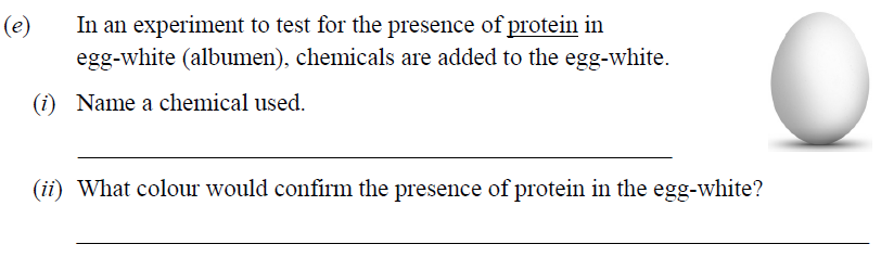 In-an-experiment-to-test-for-the-presence-of-protein-in-egg-white-(albumen),-chemicals-are-added-to-the-egg-white-Junior Cycle Science-Question e-2014.png