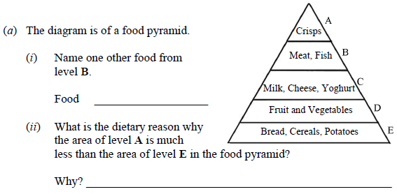 The-diagram-is-of-a-food-pyramid-Junior Cycle Science-Question (a)-2011.png