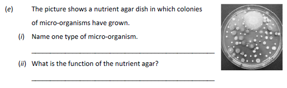 The-picture-shows-a-nutrient-agar-dish-in-which-colonies-of-micro-organisms-have-grown-Junior Cycle Science-Question e-2017.png