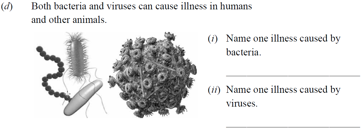 Both-bacteria-and-viruses-can-cause-illness-in-humans-and-other-animals-Junior Cycle Science-Question d-2014.png