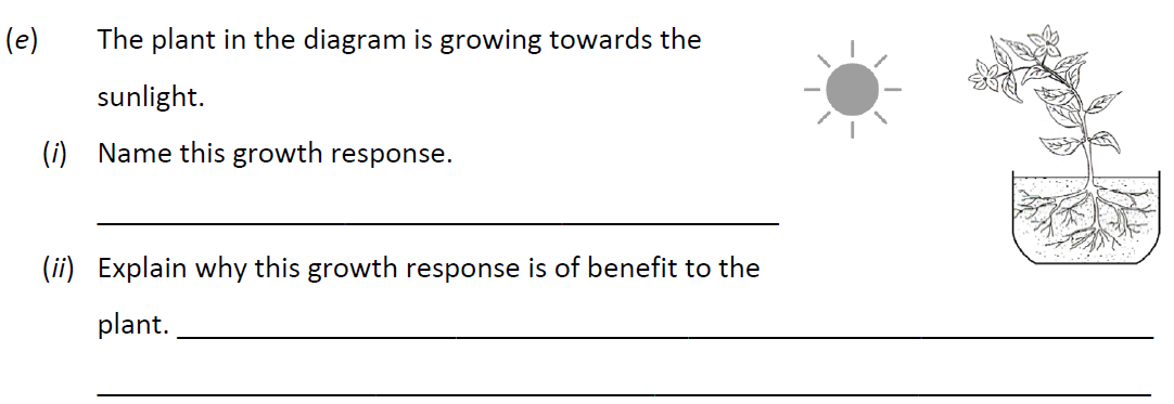 The-plant-in-the-diagram-is-growing-towards-the-sunlight-Junior Cycle Science-Question e-2018.png