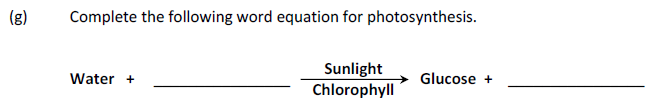 Complete-the-following-word-equation-for-photosynthesis-Junior Cycle Science-Question g-2017.png