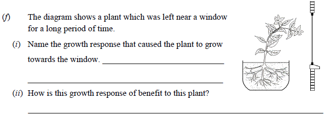 The-diagram-shows-a-plant-which-was-left-near-a-window-for-a-long-period-of-time-Junior Cycle Science-Question f-2009.png