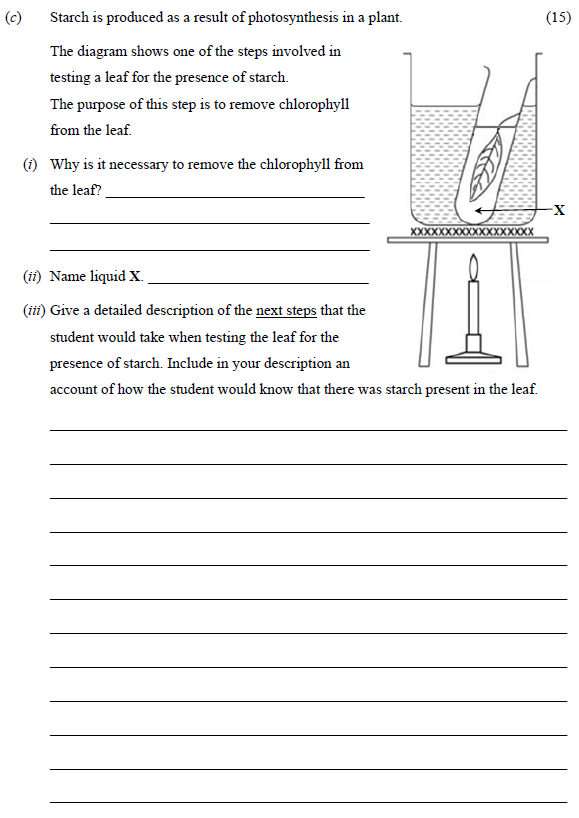 Starch-is-produced-as-a-result-of-photosynthesis-in-a-plant-Junior Cycle Science-Question c-2015.png
