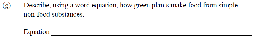 Describe,-using-a-word-equation,-how-green-plants-make-food-from-simple-non-food-substances-Junior Cycle Science-Question g-2013.png