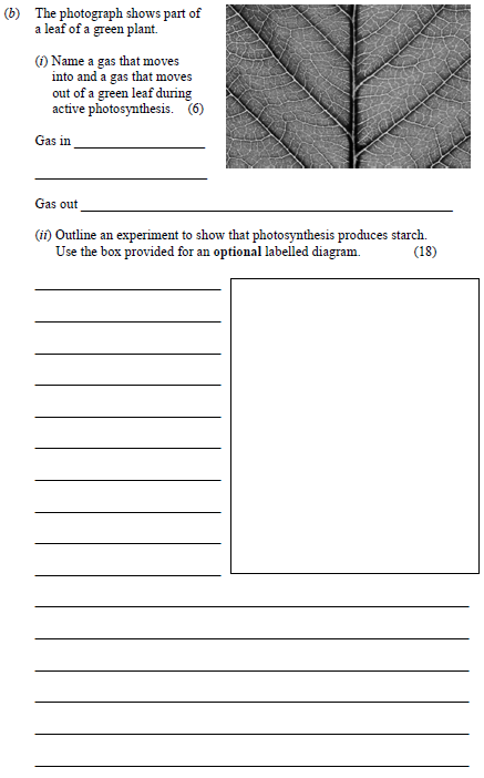 The-photograph-shows-part-of-a-leaf-of-a-green-plant-Junior Cycle Science-Question b-2015.png