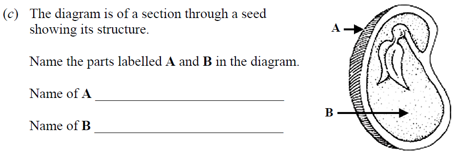 The-diagram-is-of-a-section-through-a-seed-showing-its-structure-Junior Cycle Science-Question c-2011.png