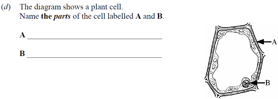 The-diagram-shows-a-plant-cell-Junior Cycle Science-Question d-2014.png