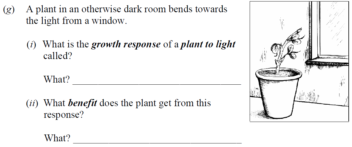 A-plant-in-an-otherwise-dark-room-bends-towards-the-light-from-a-window-Junior Cycle Science-Question g-2010.png