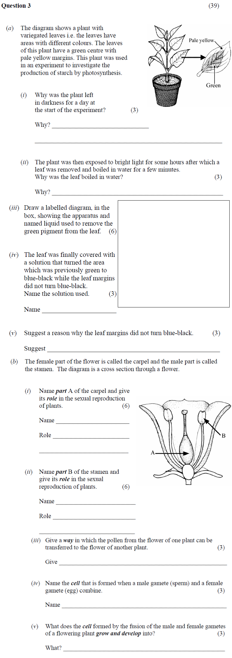 (a)-The-diagram-shows-a-plant-with-variegated-leaves-i.e-Junior Cycle Science-Question 3-2010.png
