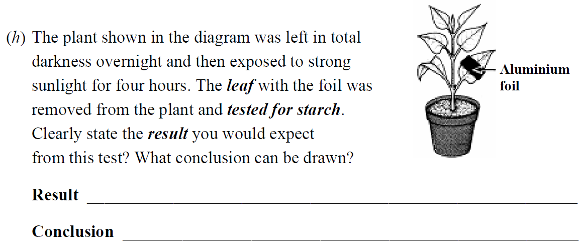 The-plant-shown-in-the-diagram-was-left-in-total-darkness-overnight-and-then-exposed-to-strong-sunlight-for-four-hours-Junior Cycle Science-Question h-2006.png