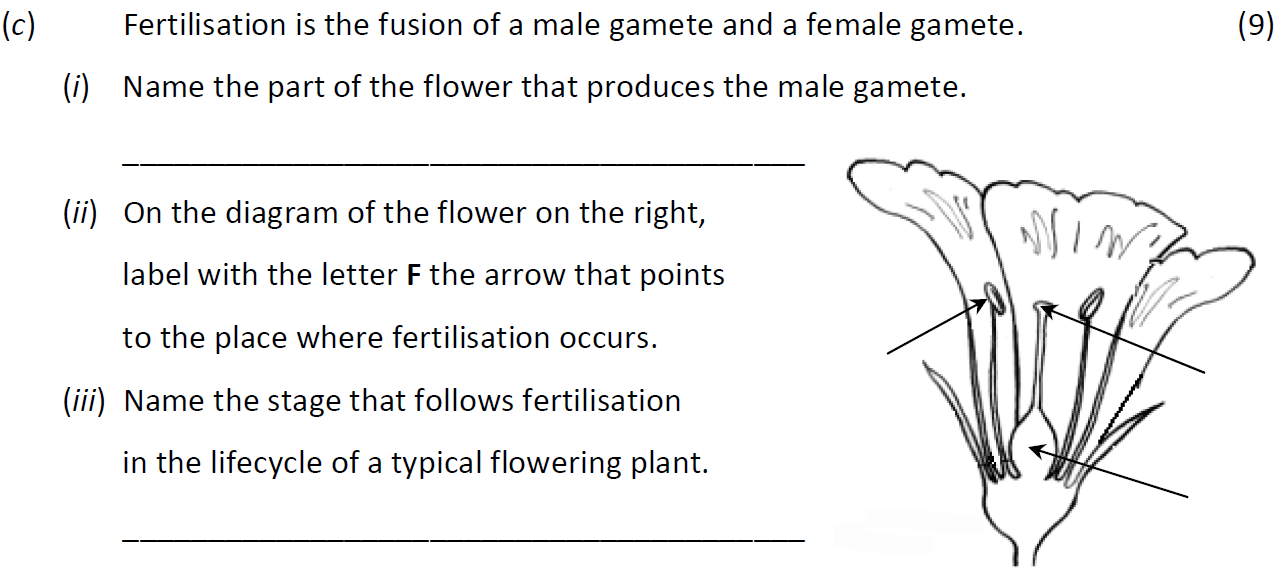 Fertilisation-is-the-fusion-of-a-male-gamete-and-a-female-gamete-Junior Cycle Science-Question c-2017.png