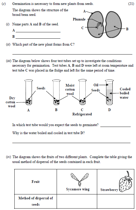 Germination-is-necessary-to-form-new-plants-from-seeds-Junior Cycle Science-Question c-2016.png