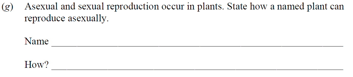 Asexual-and-sexual-reproduction-occur-in-plants-Junior Cycle Science-Question g-2019.png