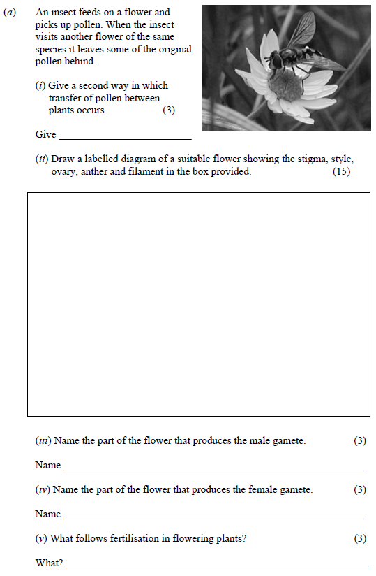 An-insect-feeds-on-a-flower-and-picks-up-pollen-Junior Cycle Science-Question a-2012.png