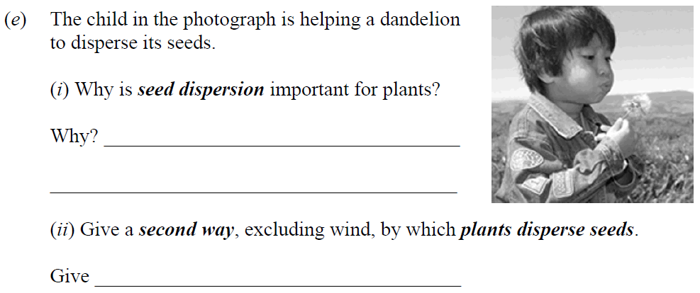 The-child-in-the-photograph-is-helping-a-dandelion-to-disperse-its-seeds-Junior Cycle Science-Question e-2009.png